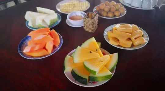 ミト＿メコン川クルーズ