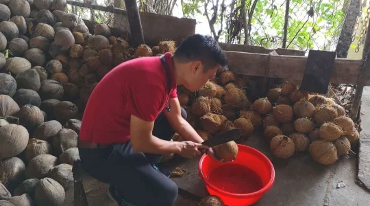 ミト観光_ココナッツキャンディー工房