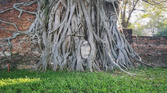 アユタヤ遺跡_ワットマハタート