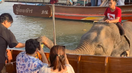 象さんと触れ合える！世界遺産アユタヤ遺跡観光 + ボート遊覧 + 遺跡ライトアップ鑑賞＜アユタヤ名物・川海老の夕食付き＞