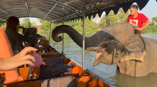 アユタヤ_象と触れ合い体験