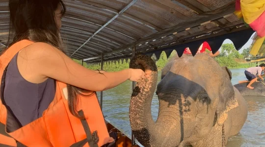 アユタヤ_象と触れ合い体験