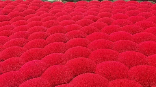 クアンフーカウ村