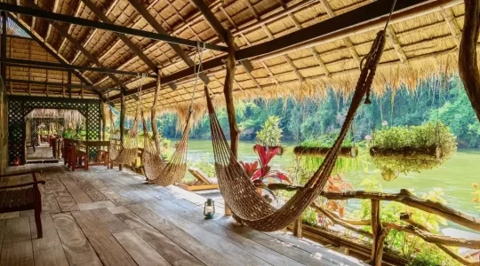JUNGLE