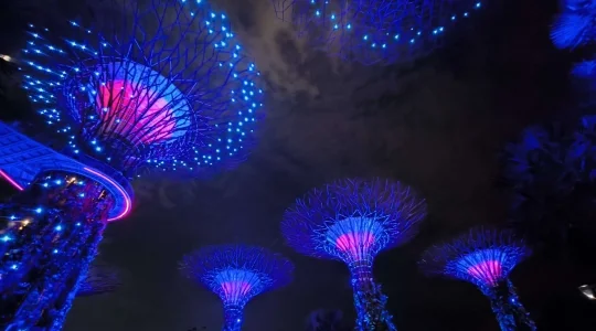 ガーデンズバイザベイで光と音が織りなす幻想的なショー_ガーデンラプソディ