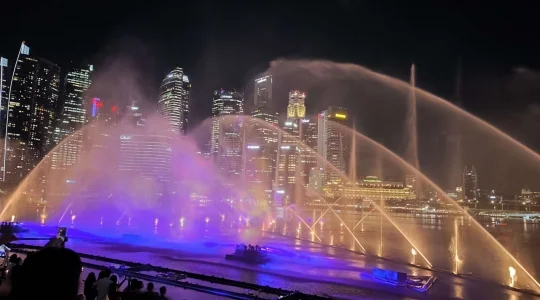 マリーナベイサンズライト&ウォーターショーSPECTRA_スペクトラ