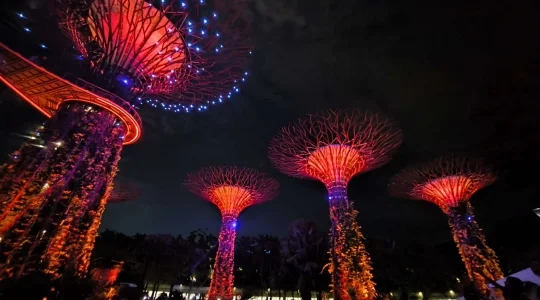 ガーデンズバイザベイで光と音が織りなす幻想的なショー_ガーデンラプソディ