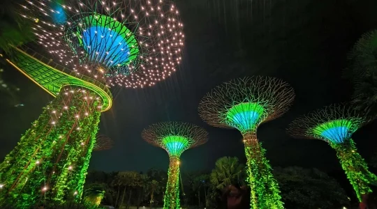 ガーデンズバイザベイで光と音が織りなす幻想的なショー_ガーデンラプソディ