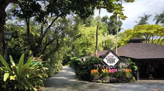 世界遺産_シンガポール植物園