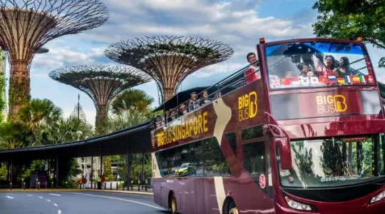 オープントップバス_BigBus