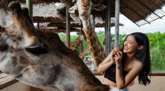 サファリワールド&マリンパーク