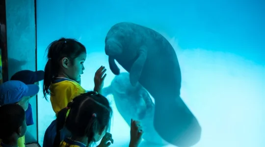 サファリワールド&マリンパーク