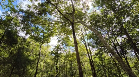 プープラバート歴史公園