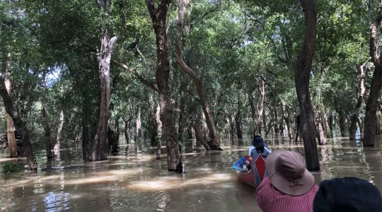 コンポンプルック