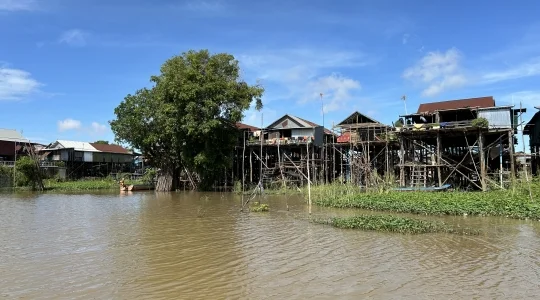 コンポンプルック