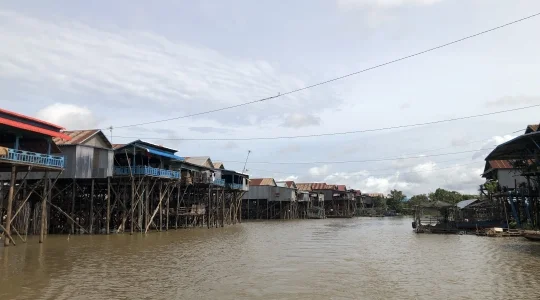 コンポンプルック