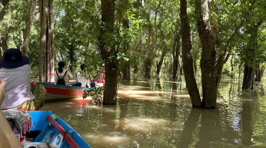 コンポンプルック