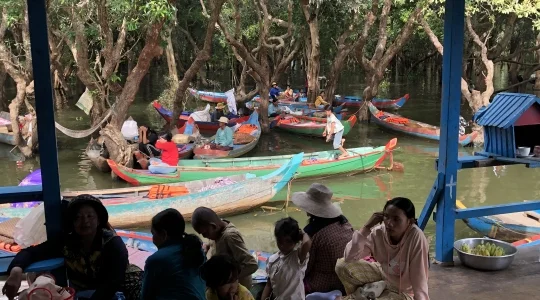 コンポンプルック