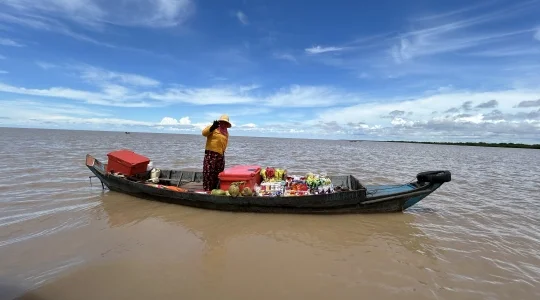 コンポンプルック