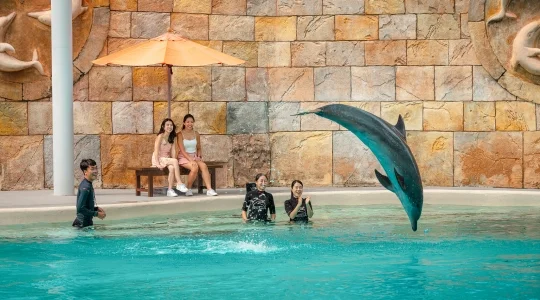 ドルフィンオブザーバー_付き添いの方