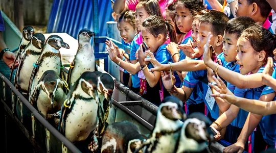 カオキアオ動物園