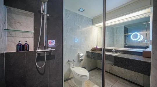 センタラウドン