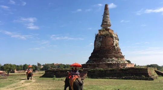 アユタヤ象乗り