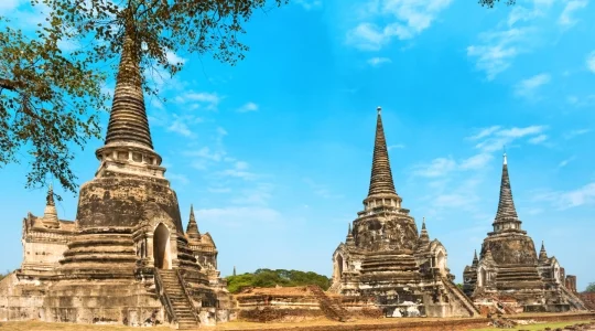 ワットプラシーサンペット