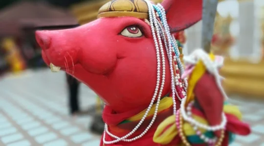 ワットサマーンラッタナーラーム敷地内