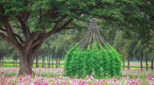 ジムトンプソンファームツアー