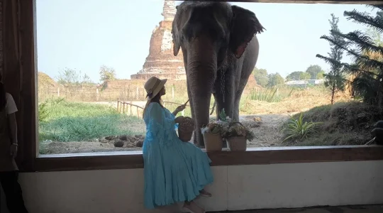 象さんが遊びに来るカフェ