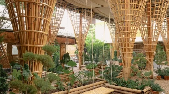 象さんが遊びに来るカフェ