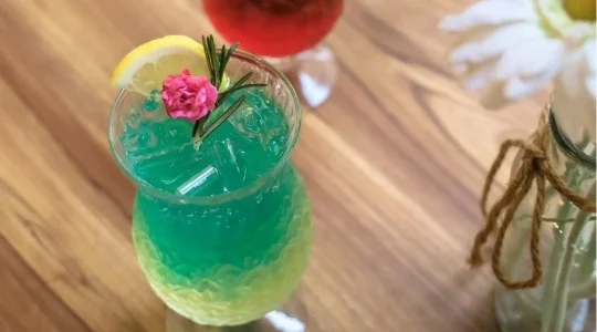 象さんが遊びに来るカフェ