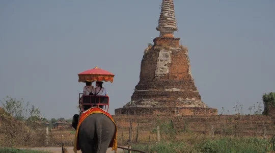 世界遺産アユタヤ_象乗り