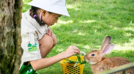 ヴィンワンダーズナムホイアン