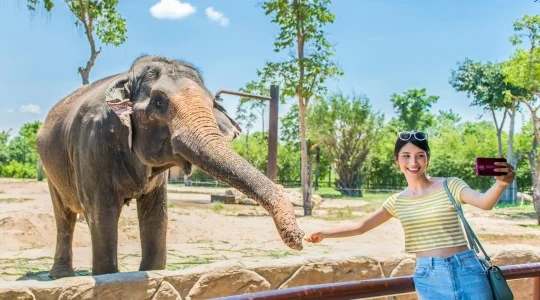 ヴィンワンダーズナムホイアン