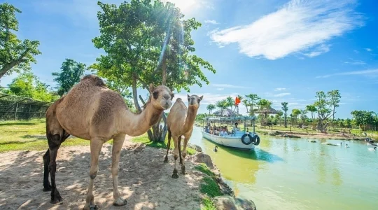 ヴィンワンダーズナムホイアン