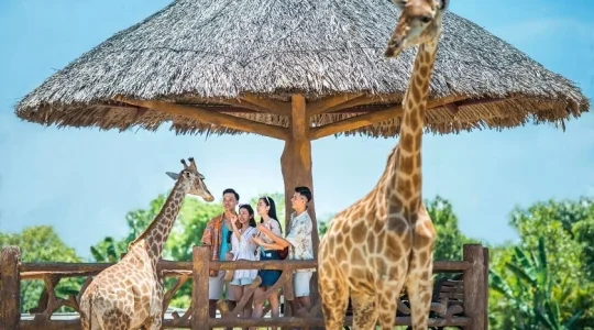 ヴィンワンダーズナムホイアン