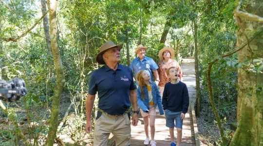 ラミントン国立公園＆オライリーズ・ワイナリーツアー