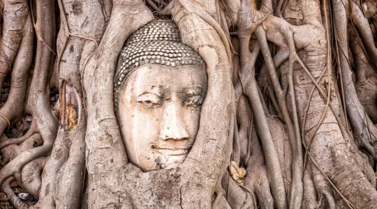 世界遺産アユタヤ直通送迎