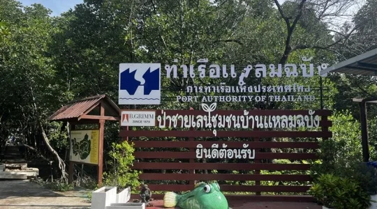 未来の森を育てよう！マングローブ植林体験ツアー