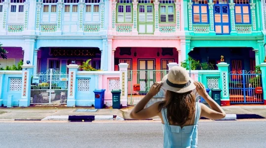 シンガポール市内観光 フォトジェニックツアー～アラブストリート+カトン散策 ～大人気！ナイトサファリ