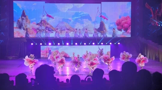 中国民俗文化村_ナイトパレート「龍鳳舞中華」観賞