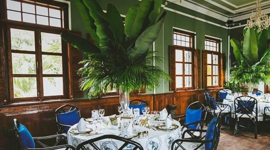 ブルーエレファント