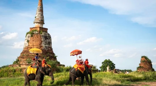 アユタヤ象乗り体験