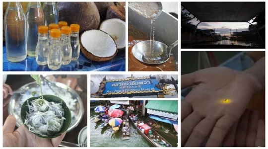 タイの暮らしに触れる！ココナッツオイル＆タイ伝統菓子「カノムトム」作り＋アンパワー水上マーケット＆ホタルナイトクルーズ