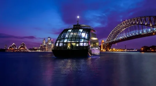 クリアビュー・グラスボート シグネチャーディナークルーズ