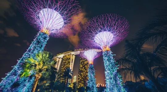 ガーデンズバイザベイ_ガーデンラプソディー