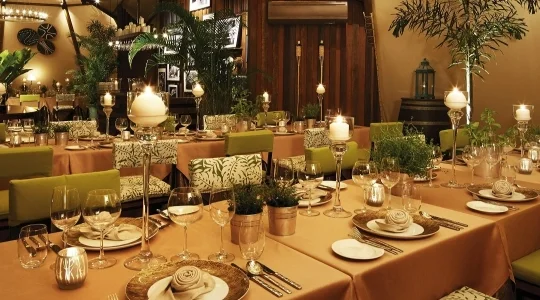 ナイトサファリ_イブニング・イン・ザ・ワイルド