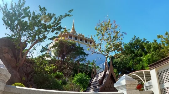 ワットサケット1